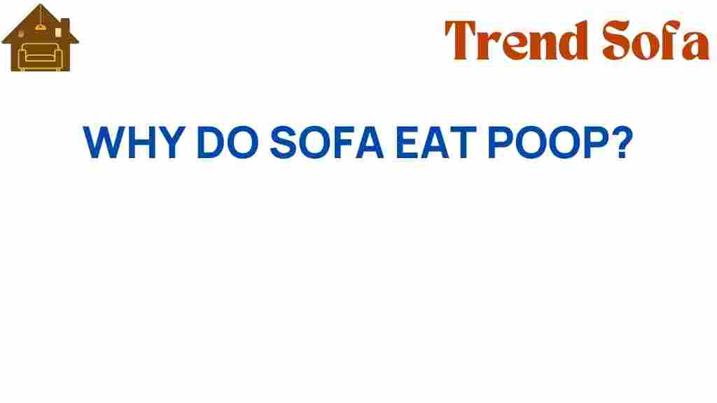 why-do-sofas-eat-poop