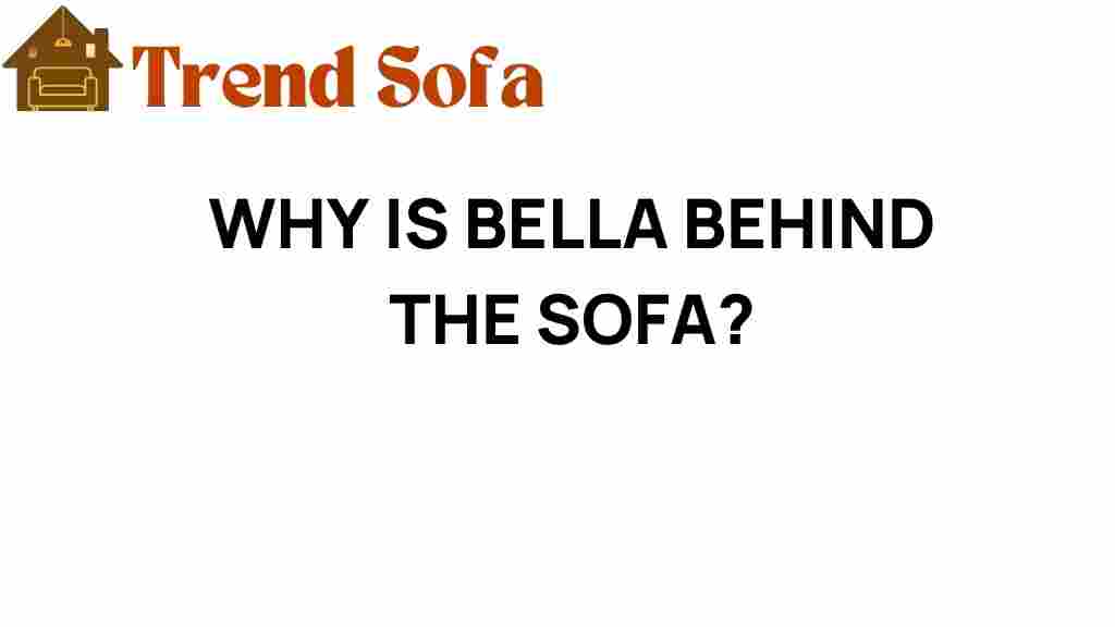 why-is-bella-behind-the-sofa