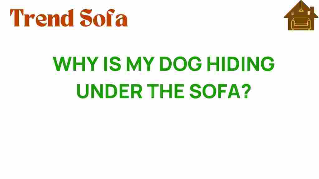 why-is-my-dog-hiding-under-the-sofa