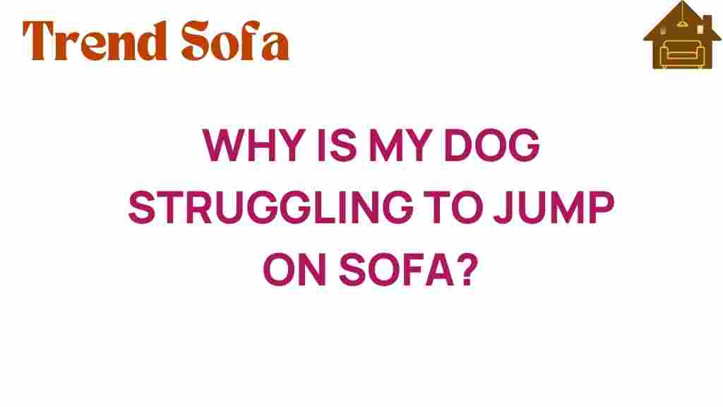 why-is-my-dog-struggling-to-jump-on-sofa