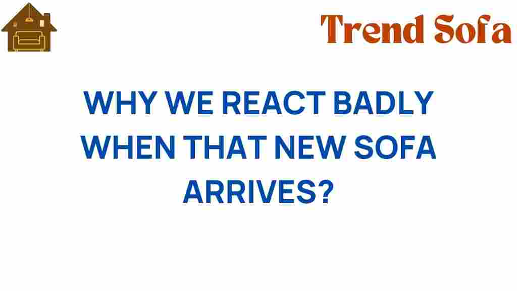 why-we-react-badly-new-sofa-arrives
