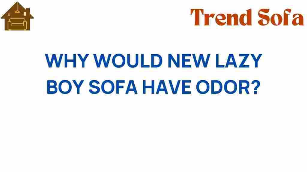 why-lazy-boy-sofa-smell