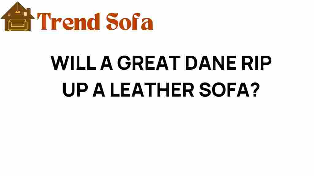 will-a-great-dane-rip-up-a-leather-sofa