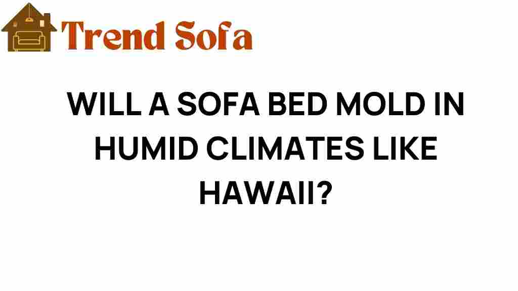 can-sofa-bed-mold-humid-climates