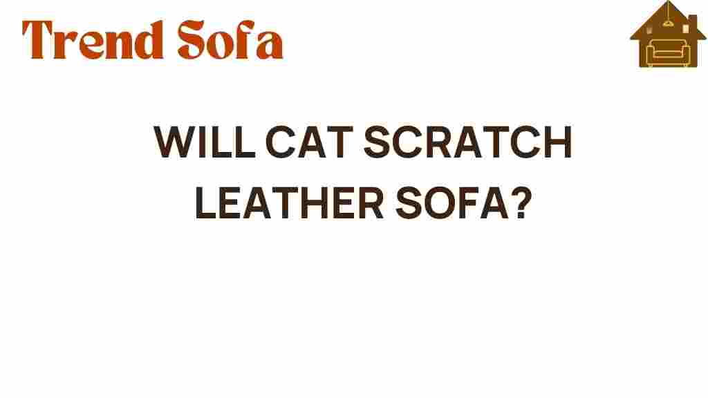 will-cat-scratch-leather-sofa