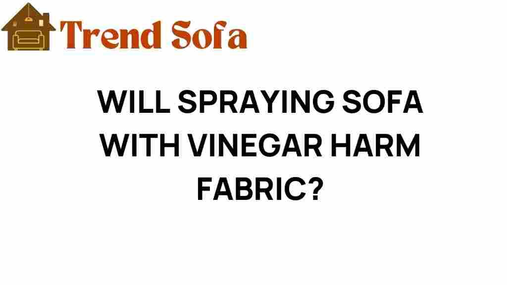 will-spraying-sofa-with-vinegar-harm-fabric