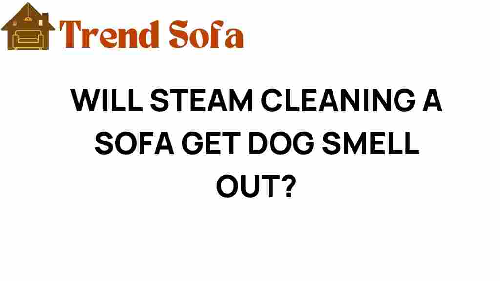 steam-cleaning-sofa-dog-smell