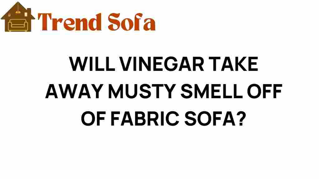 can-vinegar-eliminate-musty-smell-fabric-sofa