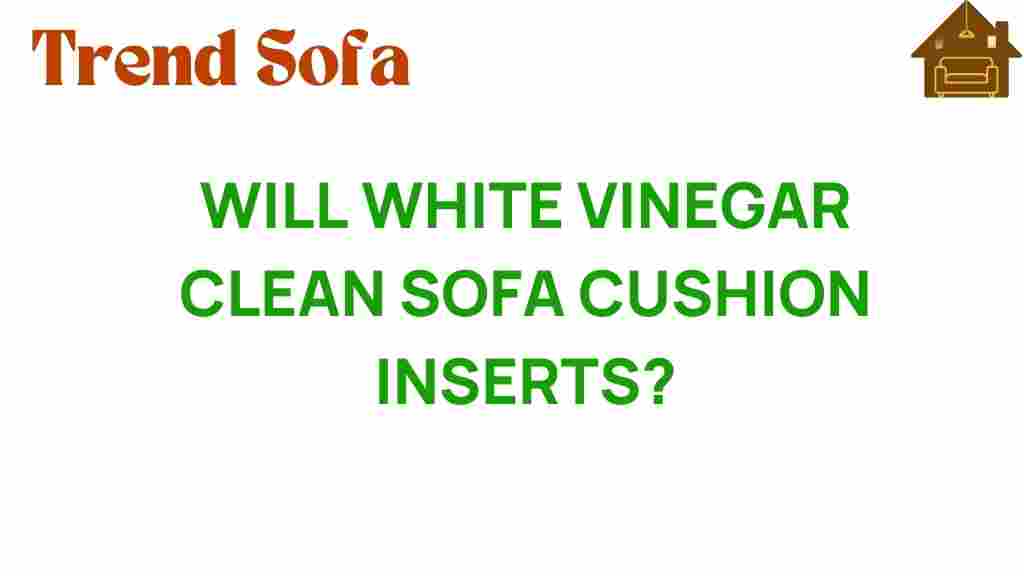 can-white-vinegar-clean-sofa-cushion-inserts