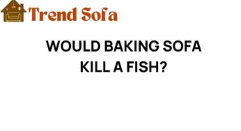 Could Baking a Sofa Really Endanger Your Fish? Find Out Here!